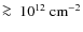 $\ga~ 10^{12}~{\rm cm}^{-2}$