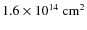 $1.6 \times 10^{14} ~ \rm cm^2$
