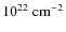 $10^{22}~\rm cm^{-2}$