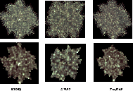 \begin{figure}
\par\includegraphics[width=16.6cm,clip]{14572f3.eps}
\end{figure}