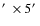 $\hbox {$^\prime $ }\times 5\hbox {$^\prime $ }$