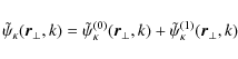 \begin{displaymath}\tilde\psi_\kappa(\vec{r}_\perp,k)
=\tilde\psi_\kappa^{(0)}(\vec{r}_\perp,k)
+\tilde\psi_\kappa^{(1)}(\vec{r}_\perp,k)
\end{displaymath}