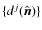$\{d^j(\hat{\vec n})\}$