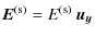$\displaystyle \vec{E}^{\rm (s)} = E^{\rm (s)}\ \vec{u_{y}}$