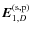 $\vec{E}_{1,D}^{\rm (s,p)}$