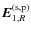 $\vec{E}_{1,R}^{\rm (s,p)}$