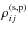 $\rho_{ij}^{\rm (s,p)}$