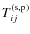 $T_{ij}^{\rm (s,p)}$