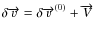 $\delta \overrightarrow{v}=\delta \overrightarrow{v}^{(0)} + \overrightarrow V$
