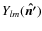 $Y_{lm}(\vec{\hat{n'}})$