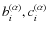 $b^{(\alpha)}_i, c^{(\alpha)}_i$