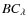 $BC_{\lambda}$