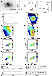 \begin{figure}
\par\includegraphics[width=15.5cm,clip]{13262fg31}
\end{figure}