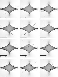 \begin{figure}
\par\includegraphics[height=22cm,width=16.5cm,clip]{13844fg02.eps}
\end{figure}