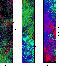 \begin{figure}
\mbox{\includegraphics[bb = 70 12 265 805,width=4.9cm,clip]{13921...
...cludegraphics[bb = 70 12 265 805,width=4.9cm,clip]{13921f4c.eps} }\end{figure}