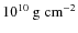 $10^{10}~{\rm g~cm}^{-2}$