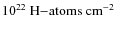 $10^{22}~{\rm H{-}atoms~cm}^{-2}$