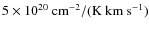 $5 \times 10^{20} ~{\rm cm^{-2}/(K{\rm\ km \ s^{-1}})}$