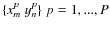$\{x_{m}^{p}~y_{n}^{p}\}~ p=1,...,P$