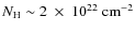 $N_{\rm H}\sim2~\times~10^{22}~{\rm cm^{-2}}$