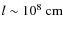 $l \sim 10^8 \mbox{\ cm}$