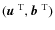 $(\mbox{$\vec{u}$ } {}^{{\rm T}},\mbox{$\vec{b}$ } {}^{{\rm T}})$