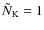 $\tilde{N}_{\rm K}=1$