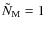 $\tilde{N}_{\rm M}=1$