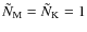 $\tilde{N}_{\rm M}=\tilde{N}_{\rm K}=1$