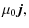 $\displaystyle \mu_0 \vec{j} ,$