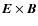 $\vec{E} \times \vec{B}$