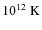 $10^{12}~{\rm K}$
