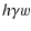 $\displaystyle h\gamma w$
