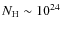 $N_{\rm H} \sim 10^{24}$