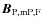 $\vec{B}_{\rm P,mP,F}$