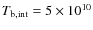 $T_{\rm b,int}=5\times 10^{10}$