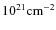 $10^{21}\rm cm^{-2}$