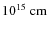 $10^{15}~\rm cm$