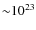 ${\sim}10^{23}$