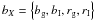 $b_X=\bc{b_{\rm g},b_{\rm I},r_{\rm g},r_{\rm I}}$