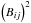 Mathematical equation: \appendix \setcounter{section}{1} \hbox{$\left( {B_{ij} } \right)^2 $}