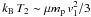 Mathematical equation: \hbox{$k_{\rm B}\, T_2 \sim \mu m_{\rm p}\,v_1^2 /3$}