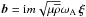 Mathematical equation: \hbox{$\vec b = {\rm i} m \sqrt{\mu \overline\rho} \omega_{\rm A}\,\vec\xi$}