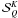 \hbox{${\mathcal{\bm{S}}}^K_Q$}