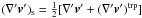 Mathematical equation: \hbox{$({\nabla}'\vec{v}')_{\rm s} = \frac{1}{2} [{\nabla}'\vec{v}'+ ({\nabla}'\vec{v}')^{\rm trp}]$}