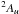 \hbox{$^2A_{u}$}
