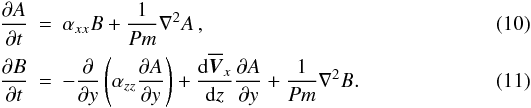 \begin{eqnarray} \frac{\partial A}{\partial t}&=&\tens{\alpha}_{xx}B+\frac{1}{Pm}\nabla^2A\, ,\label{eq:10}\\ \frac{\partial B}{\partial t}&=&-\frac{\partial}{\partial y}\left(\tens{\alpha}_{zz}\frac{\partial A}{\partial y}\right)+\frac{\mathrm{d}\overline{\vec{V}}_x}{\mathrm{d}z}\frac{\partial A}{\partial y}+\frac{1}{Pm}\nabla^2B . \label{eq:12} \end{eqnarray}
