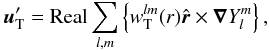 Mathematical equation: \begin{equation} \label{eq:sph2} \vec{u}'_{\rm T}={\rm Real} \sum_{l,m}\left\lbrace w_{\rm T}^{lm}(r)\ru \times\ve{\nabla}Y_l^m \right\rbrace, \end{equation}