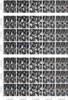 Thumbnail: Fig. 11 Refer to the following caption and surrounding text.