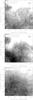 Thumbnail: Fig. 4 Refer to the following caption and surrounding text.